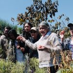 Decenio de la agricultura familiar